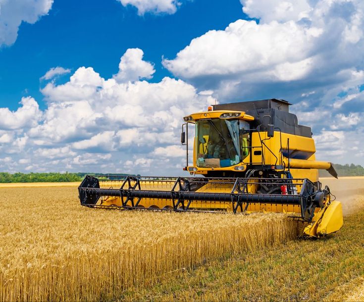 RICE FOR AFRICA