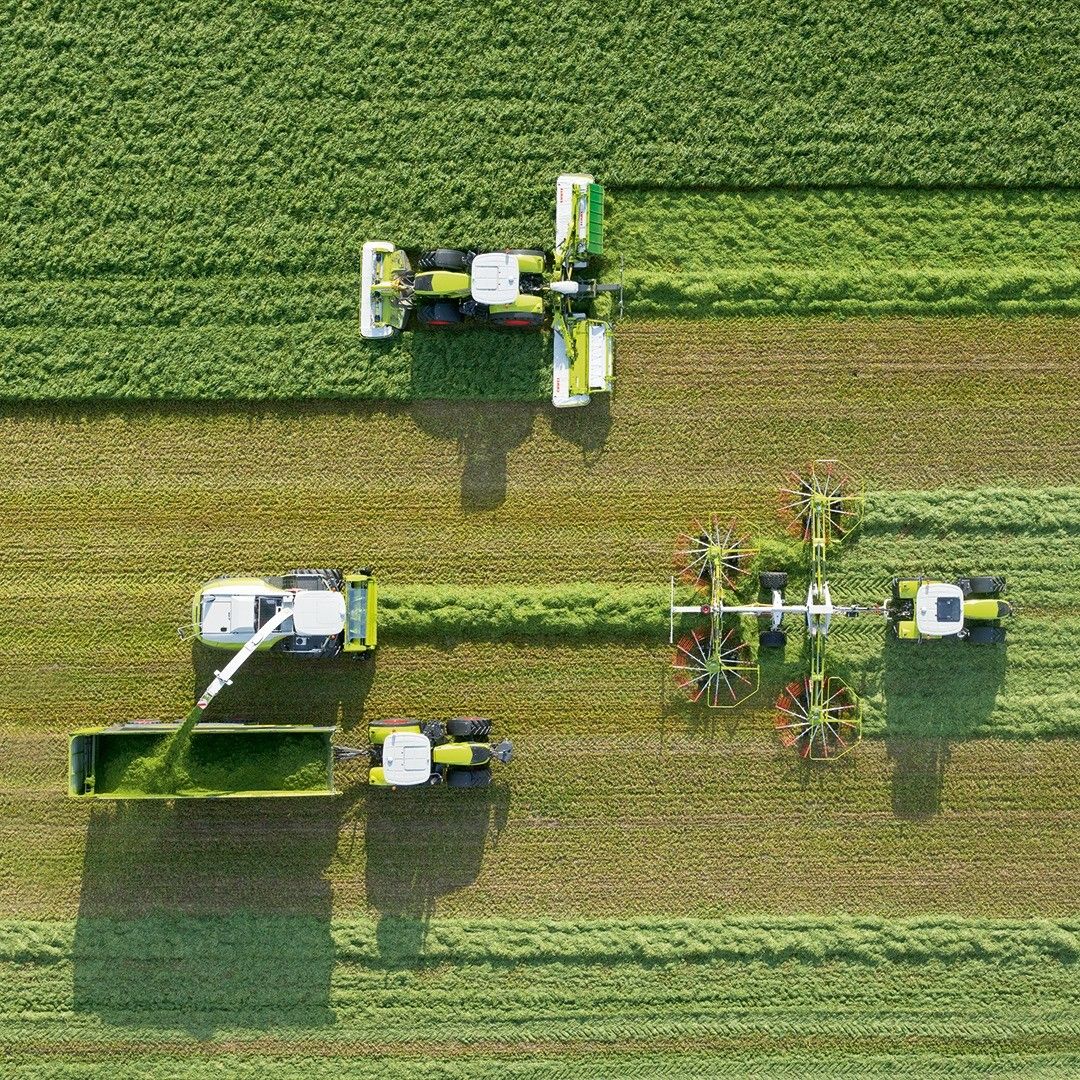 Projet agricole 300 ha